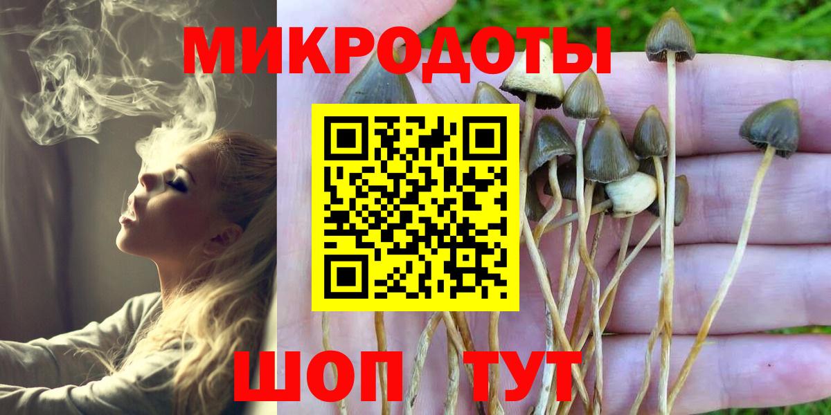 Галлюциногенные грибы Magic Shrooms  Галлюциногенные грибы Cubensis  Вход с VPN  Сафоново 